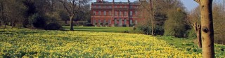 National Trust Clandon - Picture by Andy Scott