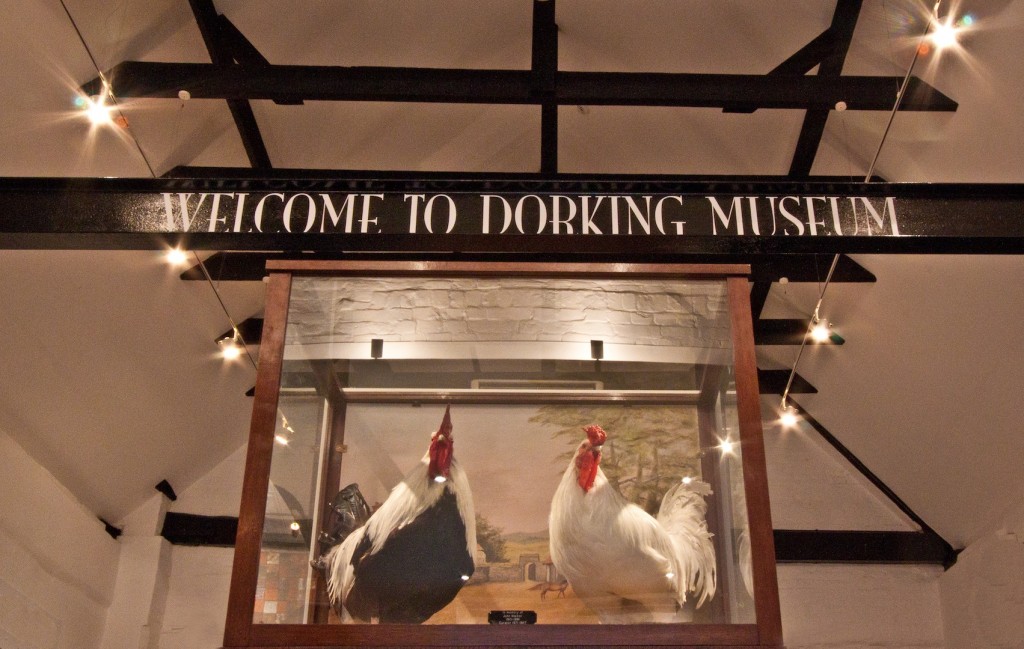 Dorking Museum - Picture from Dorking Museum